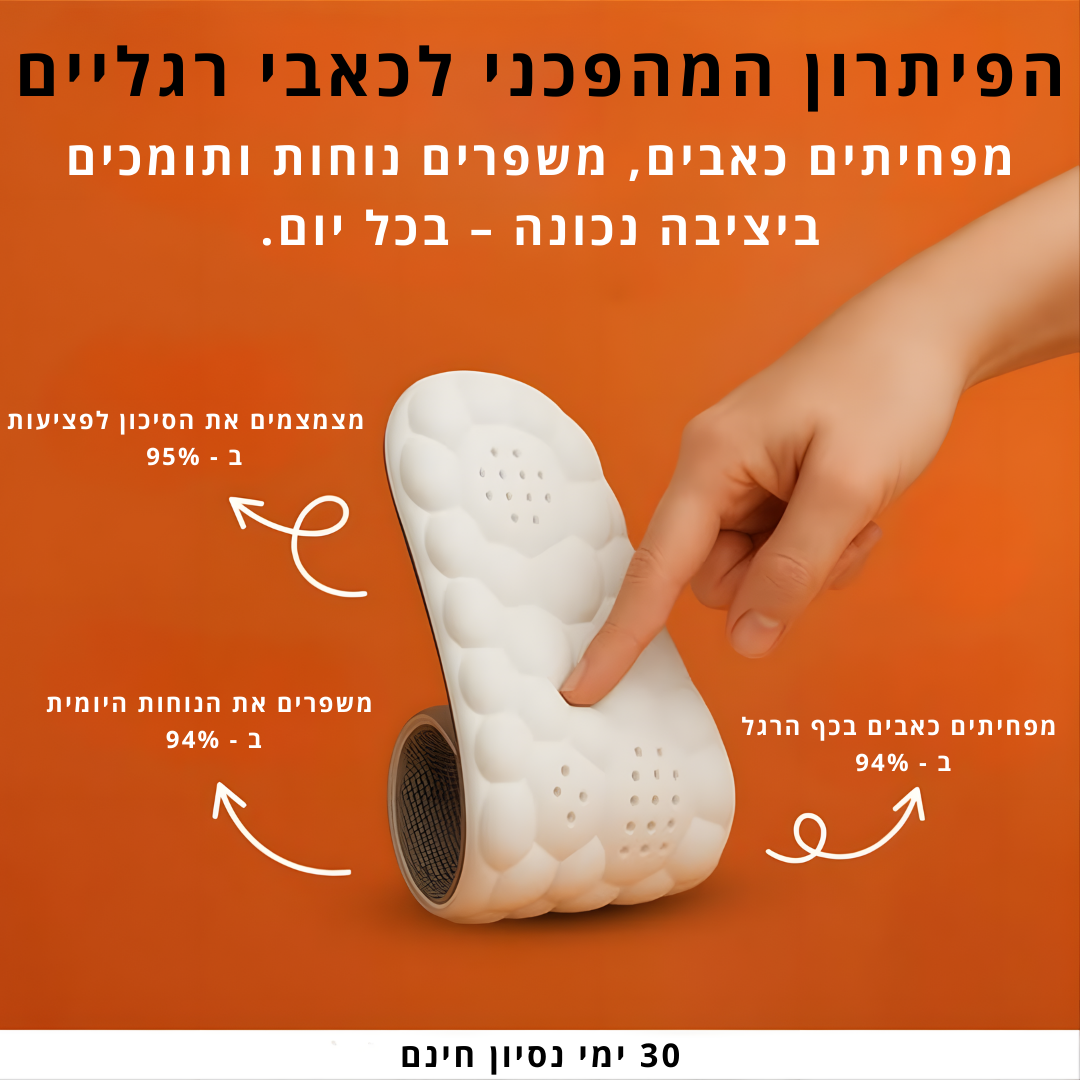 מדרסי הפלא של וורזה