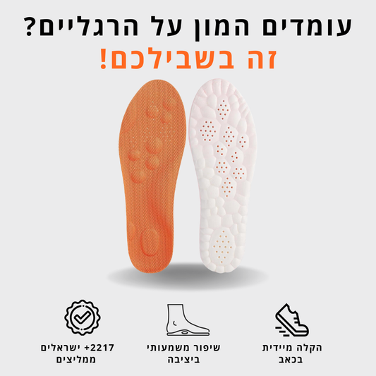 מדרסי הפלא של וורזה