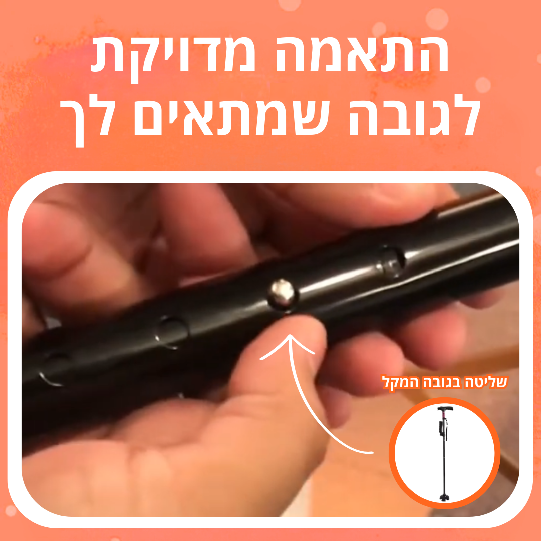 המקל המתקדם של וורזה