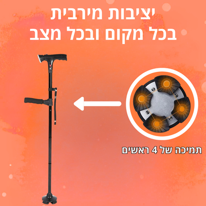 המקל המתקדם של וורזה