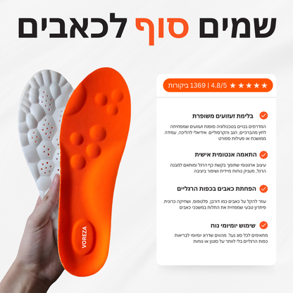 מדרסי הפלא של וורזה